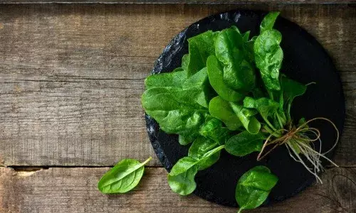 Who Should Not Eat Spinach Who Should Not Eat Spinach