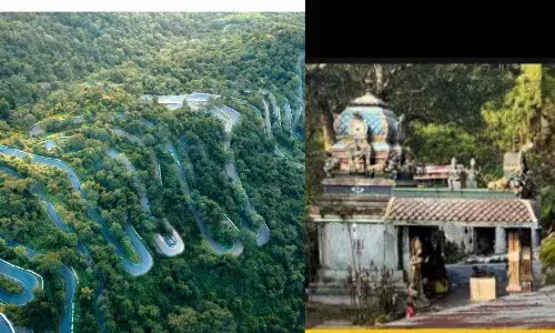 கொல்லிமலை நாச்சியம்மன் கோயிலின் முக்கியத்துவம் – அம்மன் தரிசனத்துடன் சுறுசுறுப்பான அனுபவம் கொல்லிமலை நாச்சியம்மன் கோயிலின் முக்கியத்துவம் – அம்மன் தரிசனத்துடன் சுறுசுறுப்பான அனுபவம்