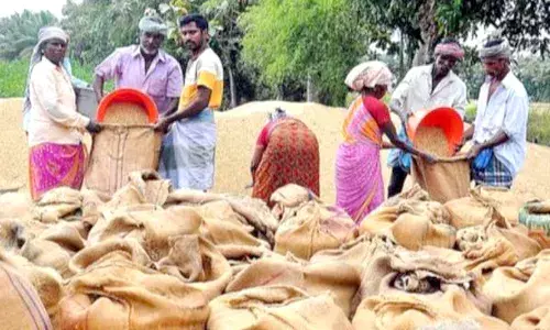 சேந்தமங்கலம் பகுதியில் நேரடி நெல் கொள்முதல் மையம் துவக்க கோரிக்கை சேந்தமங்கலம் பகுதியில் நேரடி நெல் கொள்முதல் மையம் துவக்க கோரிக்கை