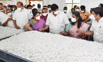 ராசிபுரத்தில் ₹3.6 லட்சத்திற்கு பட்டுக்கூடு ஏலம்..! ராசிபுரத்தில் ₹3.6 லட்சத்திற்கு பட்டுக்கூடு ஏலம்..!