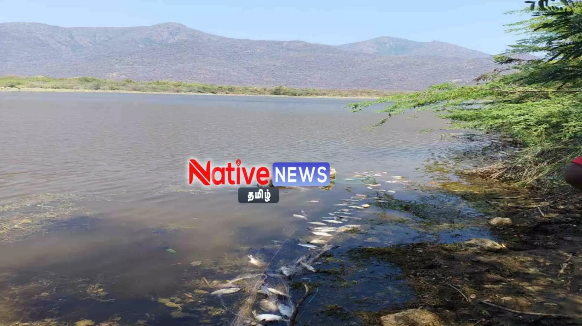 ஈரோடு: அத்தாணி அருகே வன ஏரியில் மூழ்கி தொழிலாளி பலி; சட்டவிரோதமாக மீன் பிடிக்க சென்றபோது பரிதாபம் ஈரோடு: அத்தாணி அருகே வன ஏரியில் மூழ்கி தொழிலாளி பலி; சட்டவிரோதமாக மீன் பிடிக்க சென்றபோது பரிதாபம்