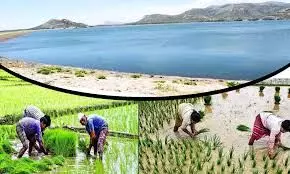 விவசாயிகள் கூடுதல் தண்ணீர் வேண்டும் என கோரிக்கை விவசாயிகள் கூடுதல் தண்ணீர் வேண்டும் என கோரிக்கை