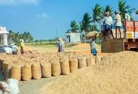 48 கொள்முதல் நிலையங்களில் நெல் வாங்கப்பட்டது 48 கொள்முதல் நிலையங்களில் நெல் வாங்கப்பட்டது