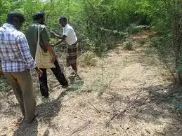 முள் காட்டில் அடையாளம் தெரியாத முதியவர் உடல் மீட்பு முள் காட்டில் அடையாளம் தெரியாத முதியவர் உடல் மீட்பு