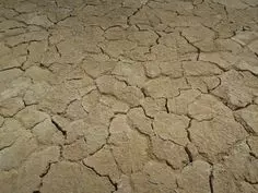 மாநகராட்சி கமிஷனர்,பனமரத்துப்பட்டி ஏரியில் ஆய்வு நடத்த ஆலோசனை மாநகராட்சி கமிஷனர்,பனமரத்துப்பட்டி ஏரியில் ஆய்வு நடத்த ஆலோசனை
