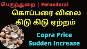 கொப்பரையின் விற்பனை ரூ.3 கோடியாக உயர்ந்தது கொப்பரையின் விற்பனை ரூ.3 கோடியாக உயர்ந்தது