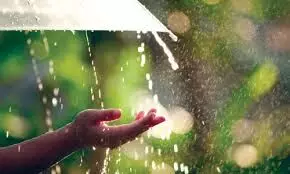 கவுந்தப்பாடியில் 30 மி.மீ. மழை பதிவு கவுந்தப்பாடியில் 30 மி.மீ. மழை பதிவு