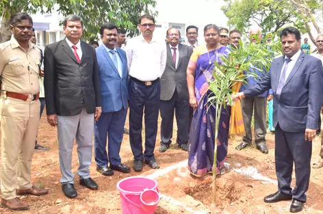 நாமக்கல் மாவட்டத்தில் 2 ஆண்டுகளில் 20 லட்சம் மரக்கன்றுகள் நடப்பட்டுள்ளன : கலெக்டர் நாமக்கல் மாவட்டத்தில் 2 ஆண்டுகளில் 20 லட்சம் மரக்கன்றுகள் நடப்பட்டுள்ளன : கலெக்டர்