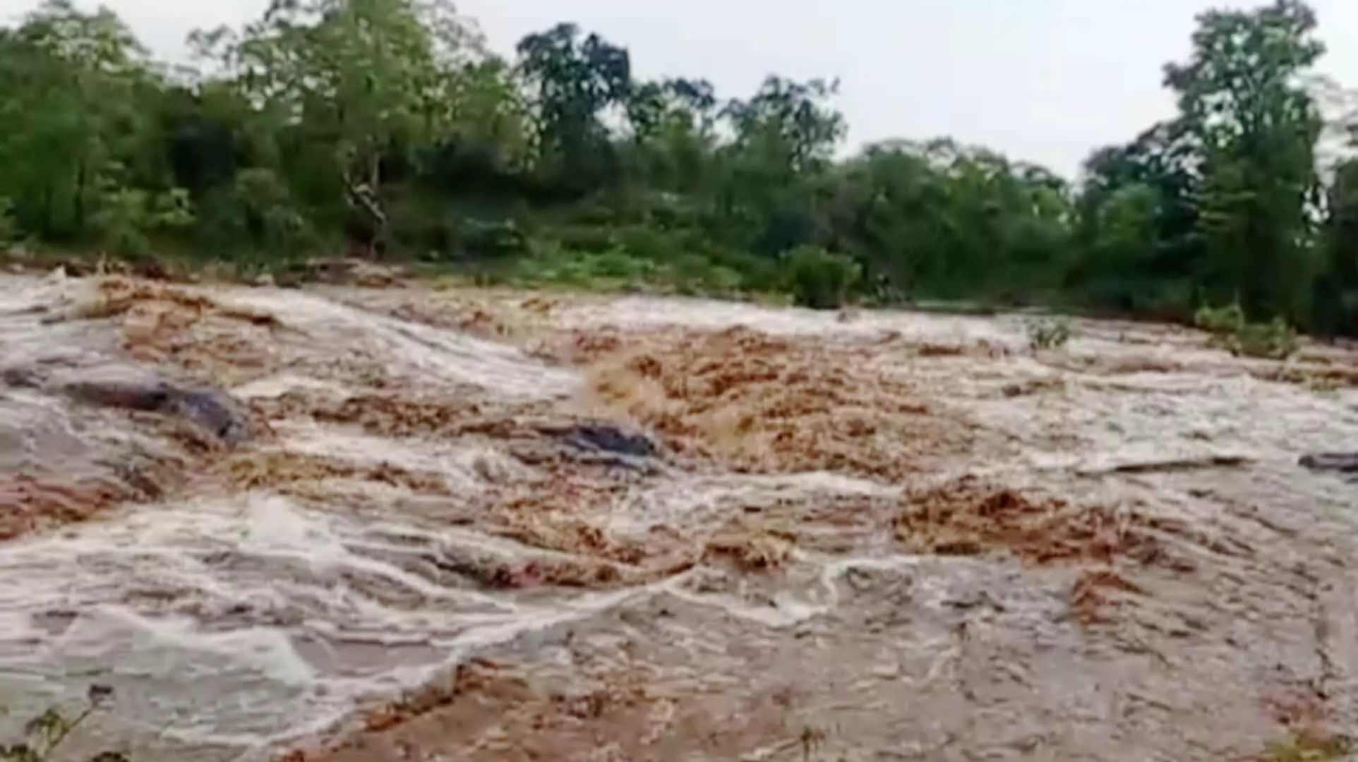 சத்தியமங்கலம்: கடம்பூர் அருகே பெய்த பலத்த மழையால் பெருக்கெடுத்து ஓடிய காட்டாற்று வெள்ளம்! சத்தியமங்கலம்: கடம்பூர் அருகே பெய்த பலத்த மழையால் பெருக்கெடுத்து ஓடிய காட்டாற்று வெள்ளம்!