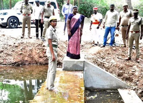 கொல்லிமலை வனப்பகுதியில் ரூ. 33 லட்சம் மதிப்பில் தடுப்பணைகள்: கலெக்டர் ஆய்வு கொல்லிமலை வனப்பகுதியில் ரூ. 33 லட்சம் மதிப்பில் தடுப்பணைகள்: கலெக்டர் ஆய்வு