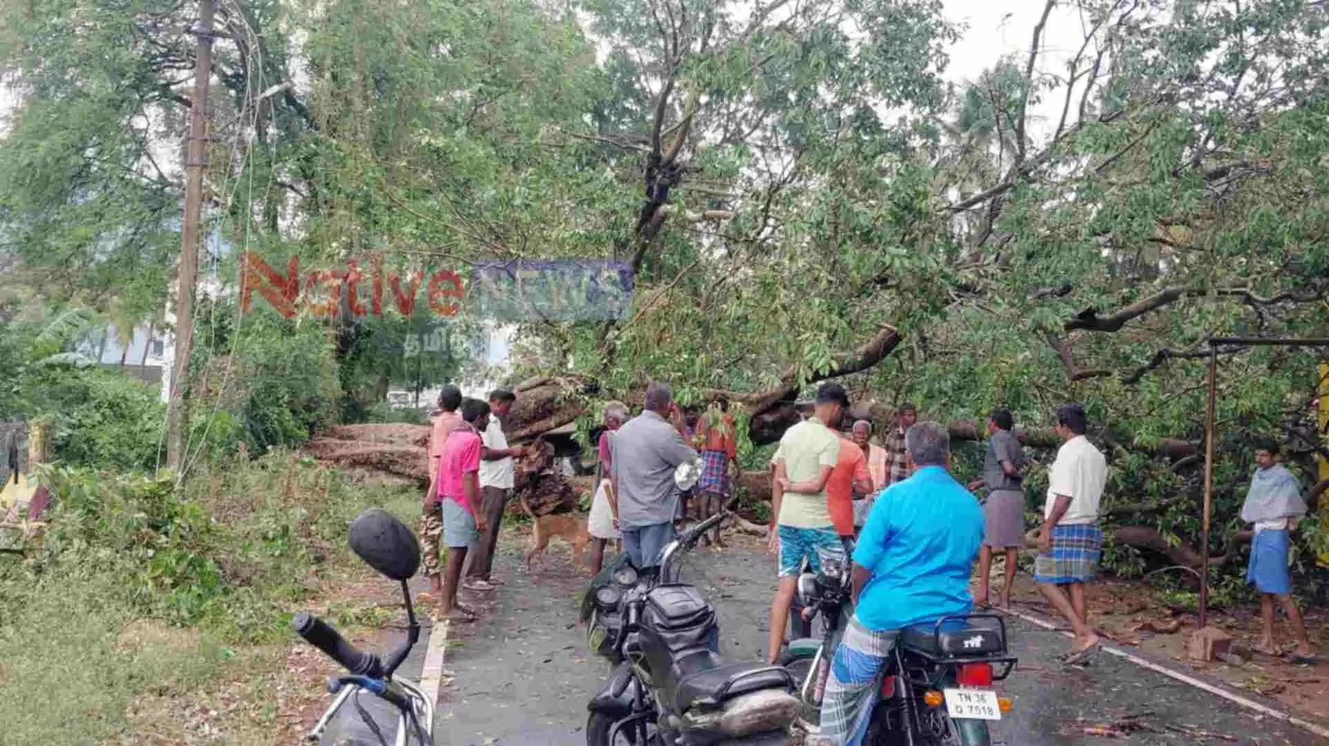கோபி அருகே சூறைக்காற்றுடன் மழை: வேருடன் மரம் சாய்ந்ததால் போக்குவரத்து பாதிப்பு!