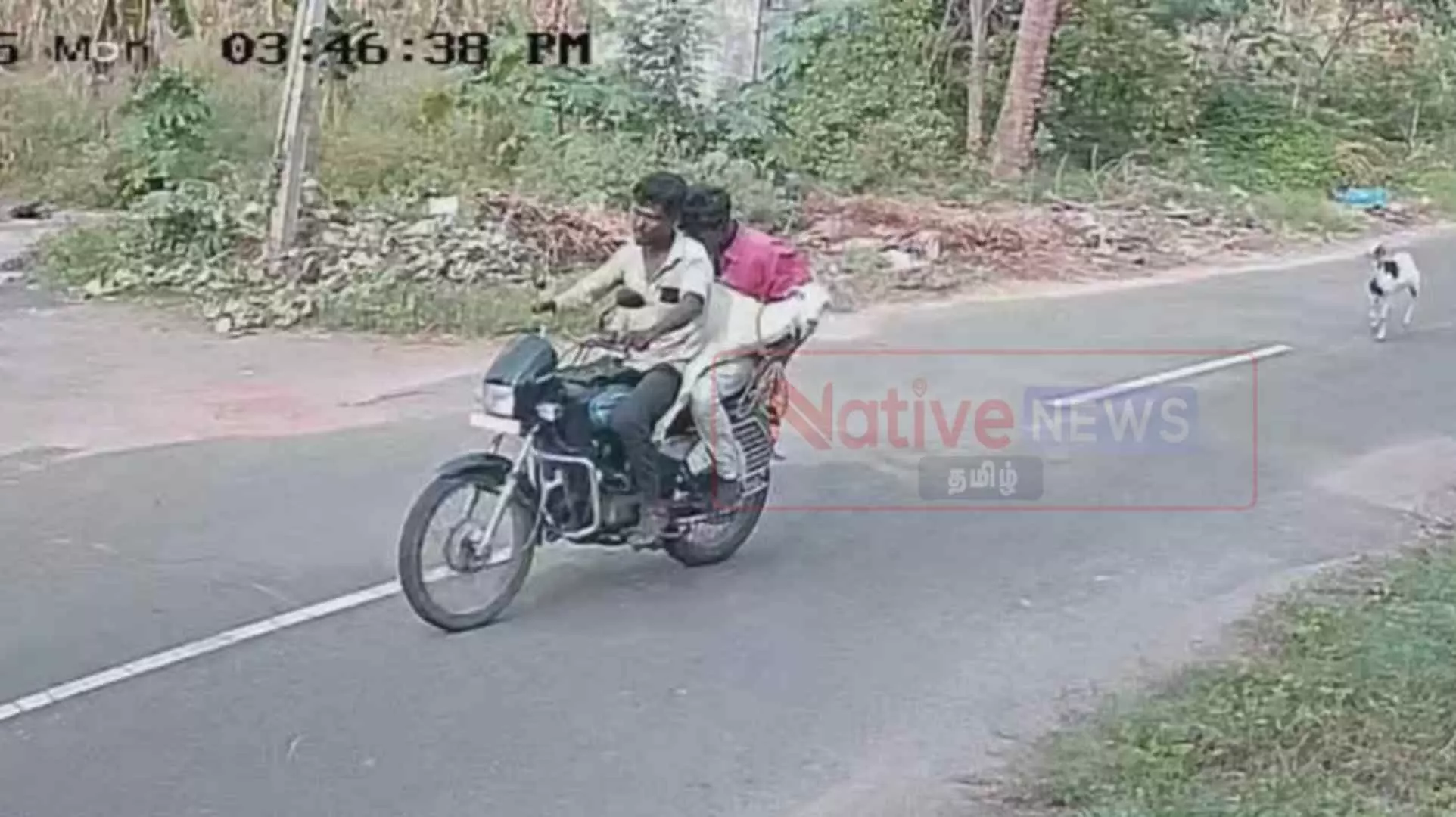 அந்தியூர் அருகே பட்டப்பகலில் இருசக்கர வாகனத்தில் ஆட்டை திருடி சென்ற மர்ம நபர்கள்: சிசிடிவி காட்சிகளால் பரபரப்பு! அந்தியூர் அருகே பட்டப்பகலில் இருசக்கர வாகனத்தில் ஆட்டை திருடி சென்ற மர்ம நபர்கள்: சிசிடிவி காட்சிகளால் பரபரப்பு!