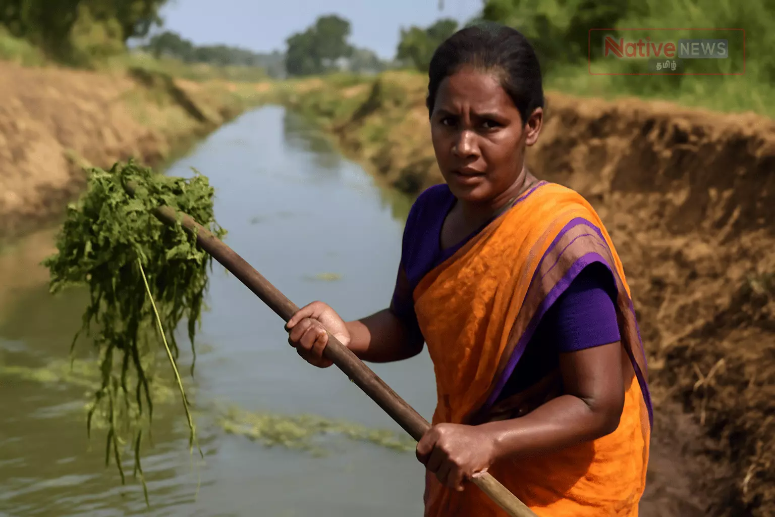பாசன வசதிக்காக பள்ளிப்பாளையத்தில் கிளை வாய்க்கால் பராமரிப்பு பணிகள் தொடக்கம் பாசன வசதிக்காக பள்ளிப்பாளையத்தில் கிளை வாய்க்கால் பராமரிப்பு பணிகள் தொடக்கம்