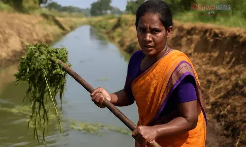 பாசன வசதிக்காக பள்ளிப்பாளையத்தில் கிளை வாய்க்கால் பராமரிப்பு பணிகள் தொடக்கம்