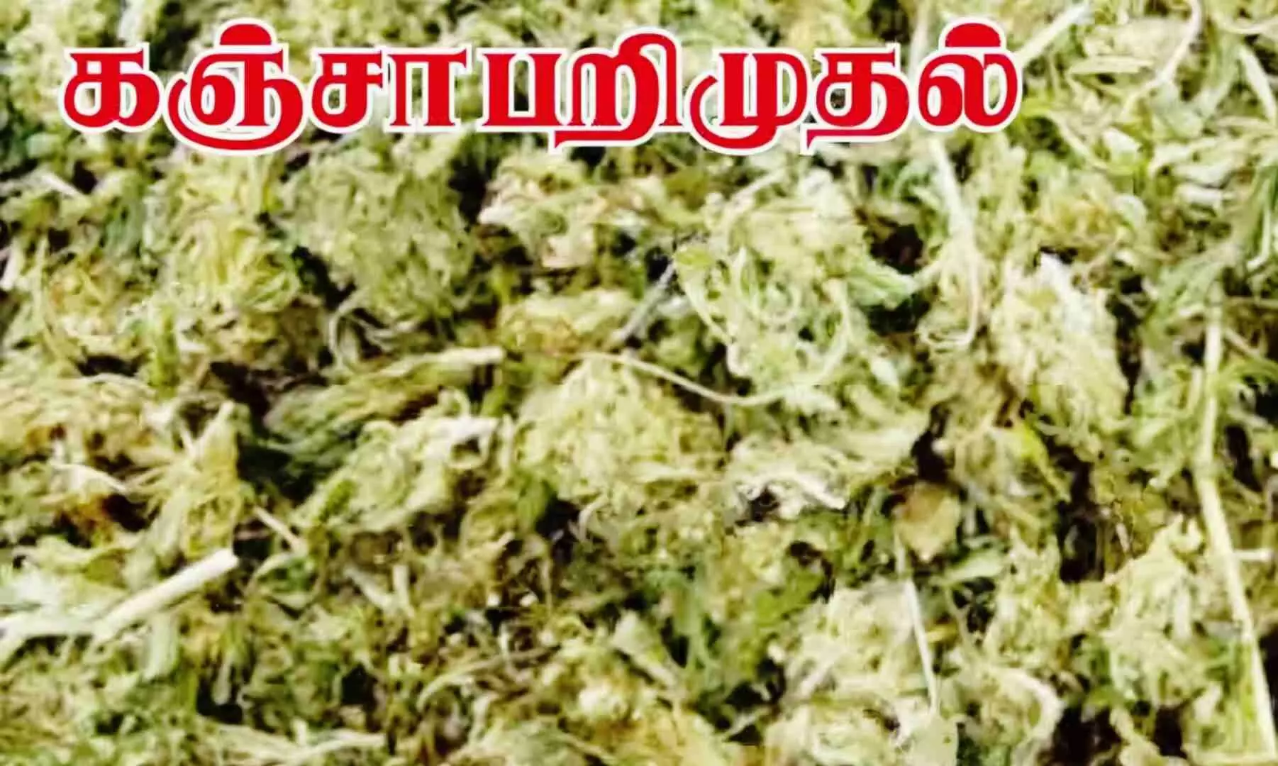 ஈரோடு வழியாக சென்ற ரயிலில் கடத்திய 14 கிலோ கஞ்சா பறிமுதல்! ஈரோடு வழியாக சென்ற ரயிலில் கடத்திய 14 கிலோ கஞ்சா பறிமுதல்!