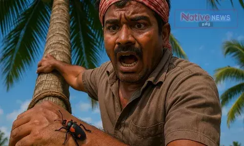 தேங்காய் பறிக்க முயன்ற தொழிலாளி விஷ வண்டு கடித்து பலி தேங்காய் பறிக்க முயன்ற தொழிலாளி விஷ வண்டு கடித்து பலி