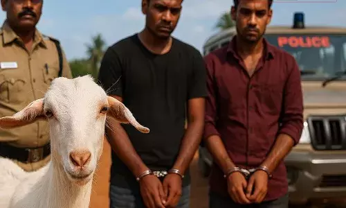 பனமரத்துப்பட்டி ஏரி அருகே ஆடு திருடர்கள் கைது பனமரத்துப்பட்டி ஏரி அருகே ஆடு திருடர்கள் கைது
