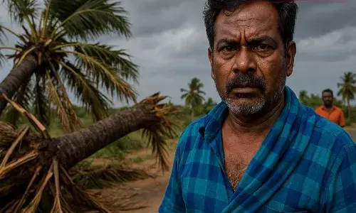 சேலத்தில் சூறாவளி காரணமாக மரங்கள் சாய்ந்து, மின் கம்பிகள் சேதம சேலத்தில் சூறாவளி காரணமாக மரங்கள் சாய்ந்து, மின் கம்பிகள் சேதம