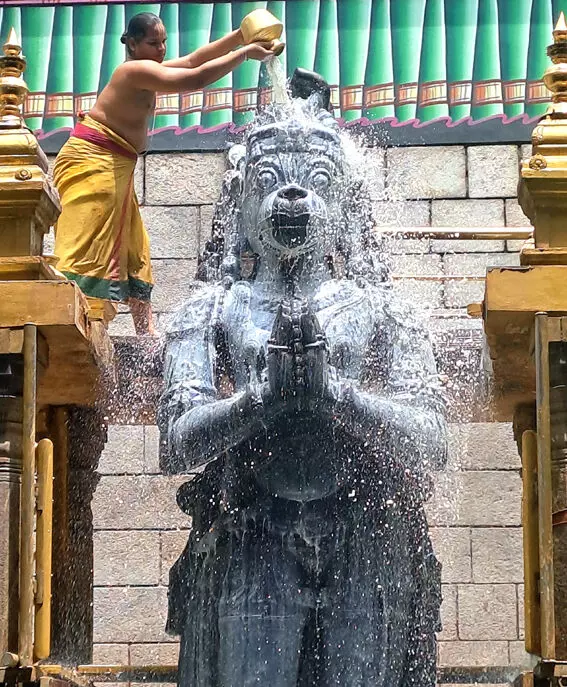 வைகாசி மாத முதல் ஞாயிற்றுக்கிழமை : நாமக்கல் ஆஞ்சநேயருக்கு சிறப்பு அபிசேகம் வைகாசி மாத முதல் ஞாயிற்றுக்கிழமை : நாமக்கல் ஆஞ்சநேயருக்கு சிறப்பு அபிசேகம்