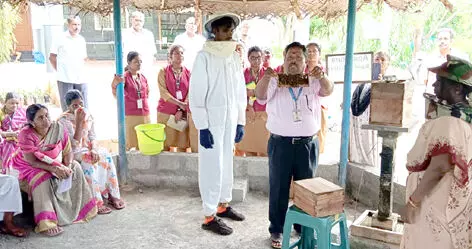 உலக தேனீக்கள் தினத்தை முன்னிட்டு நாமக்கல்லில் தேனீ வளர்ப்பு பயிற்சி உலக தேனீக்கள் தினத்தை முன்னிட்டு நாமக்கல்லில் தேனீ வளர்ப்பு பயிற்சி