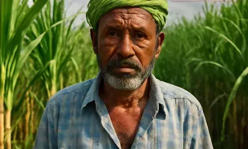 கரும்பு வருவாயில் பங்கு வழங்கப்படவில்லை – விவசாயிகள் வஞ்சிக்கப்படுவதாக கூட்டமைப்பு குற்றச்சாட்டு கரும்பு வருவாயில் பங்கு வழங்கப்படவில்லை – விவசாயிகள் வஞ்சிக்கப்படுவதாக கூட்டமைப்பு குற்றச்சாட்டு