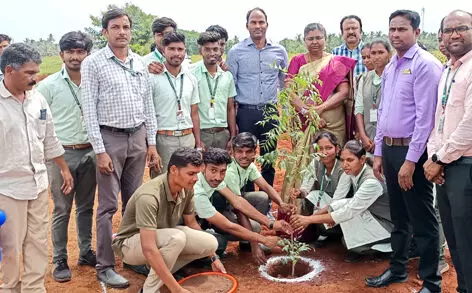 தமிழக அளவில் நிலத்தடி நீர்மட்டம் பாதிக்கப்பட்ட 5 மாவட்டங்களில் நாமக்கல்லும் ஒன்று : கலெக்டர் பகீர் தகவல் தமிழக அளவில் நிலத்தடி நீர்மட்டம் பாதிக்கப்பட்ட 5 மாவட்டங்களில் நாமக்கல்லும் ஒன்று : கலெக்டர் பகீர் தகவல்