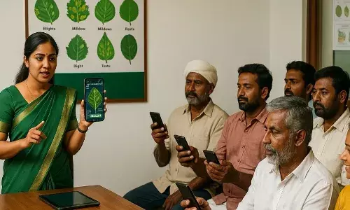 உங்கள் மொபைல் camera-வே crop doctor! பயிர் நோய்களை 90% accuracy-ல் கண்டுபிடிக்கும் AI magic உங்கள் மொபைல் camera-வே crop doctor! பயிர் நோய்களை 90% accuracy-ல் கண்டுபிடிக்கும் AI magic