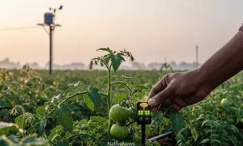 iot and ai in agriculture model iot and ai in agriculture model
